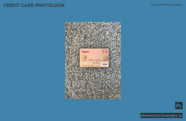 Beispielansicht der Fotoansicht der japanischen Rakuten Bank Visa-Karte